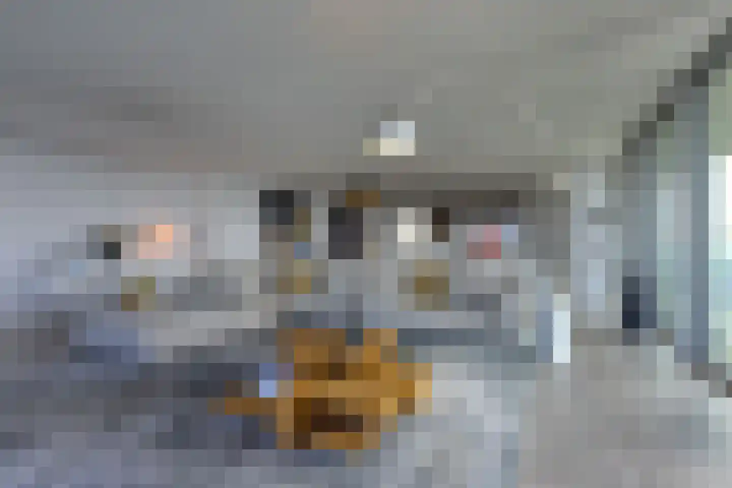 Wilhelminakade 601 Rotterdam thumbnail 6
