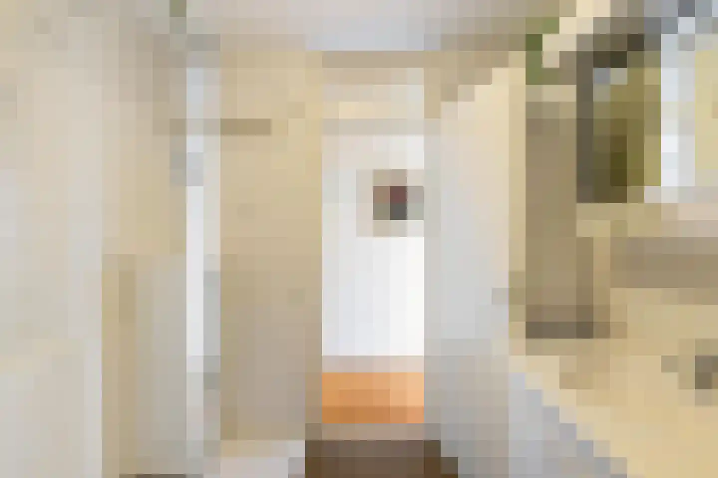 Wilhelminakade 7 6 Groningen thumbnail 22
