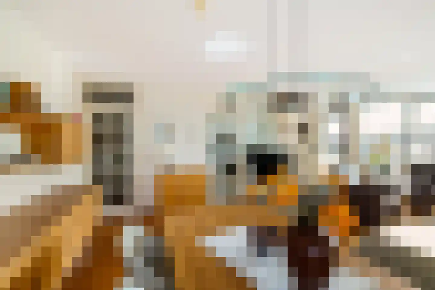 Wilhelminakade 7 6 Groningen thumbnail 8