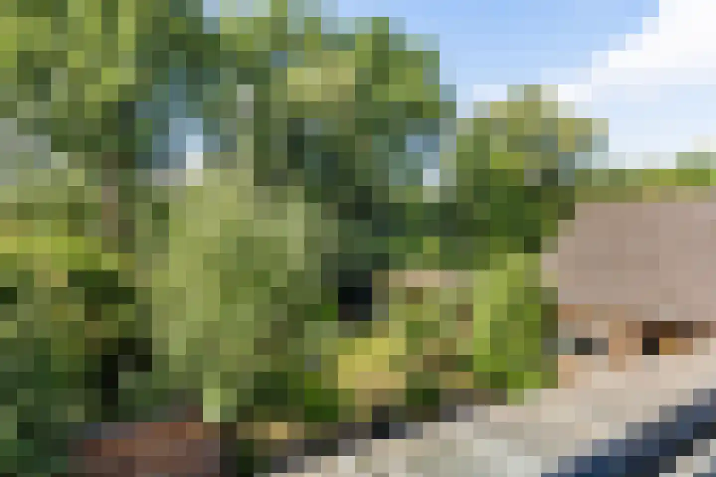 Wilhelminakanaal Zuid 128 Oosterhout thumbnail 32