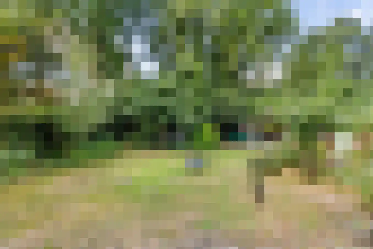 Wilhelminakanaal Zuid 128 Oosterhout thumbnail 36