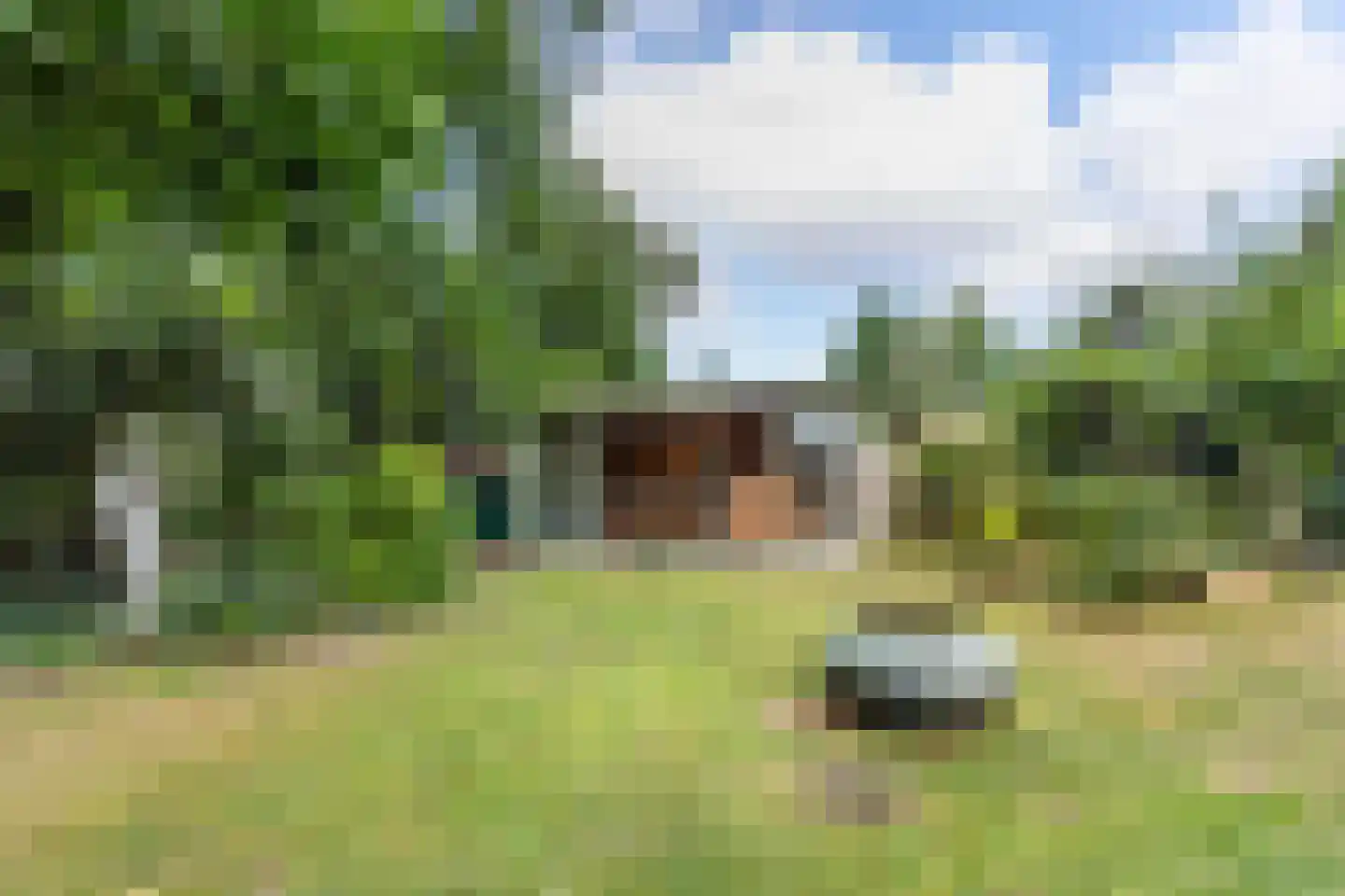 Wilhelminakanaal Zuid 128 Oosterhout thumbnail 37