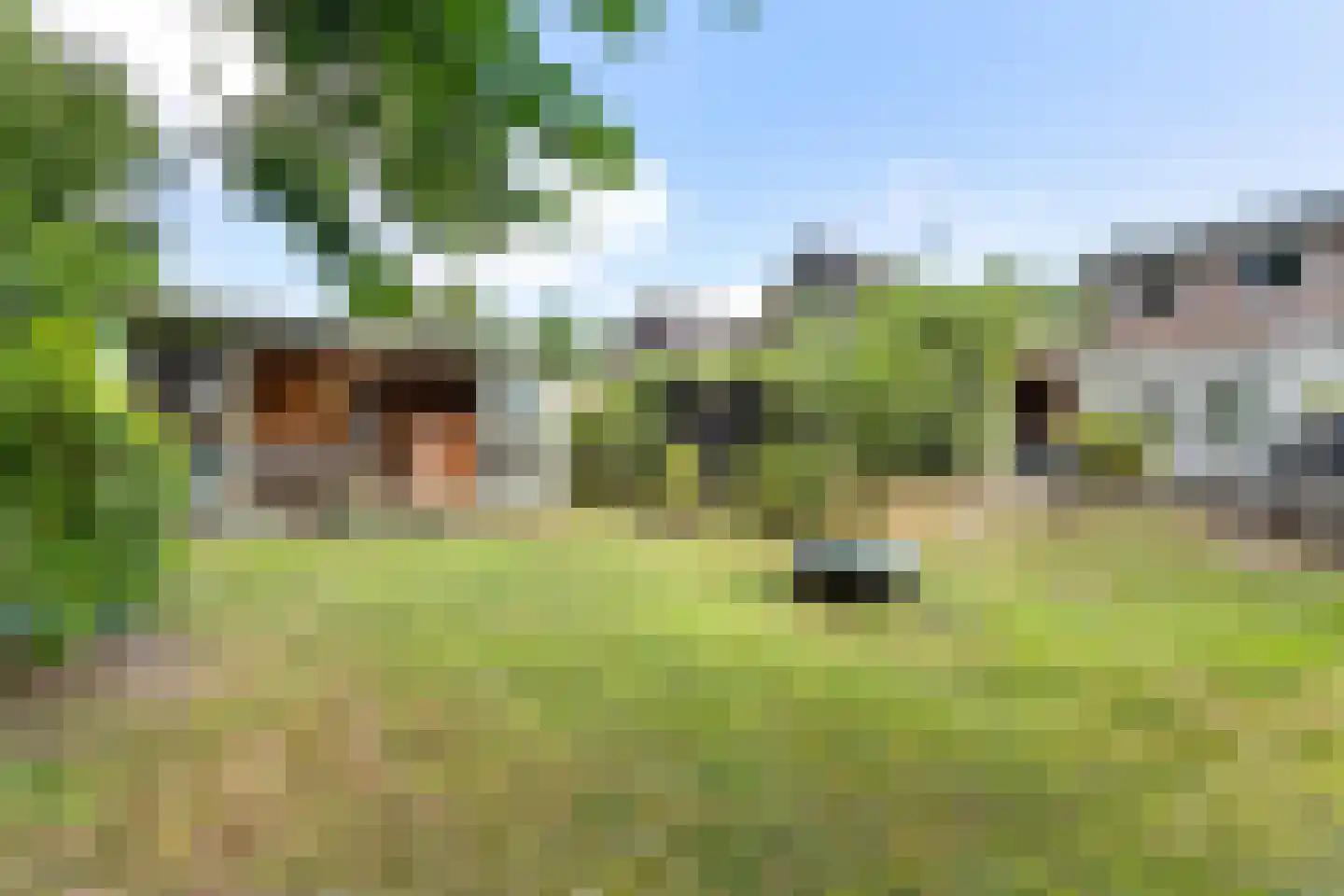 Wilhelminakanaal Zuid 128 Oosterhout thumbnail 38