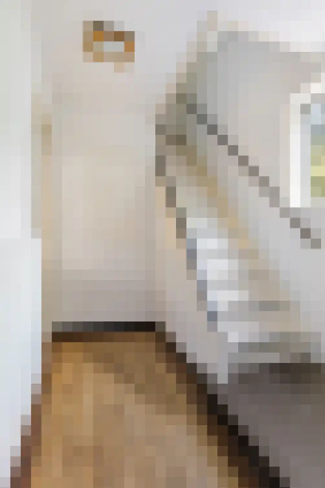 Wilhelminakanaal Zuid 128 Oosterhout thumbnail 7