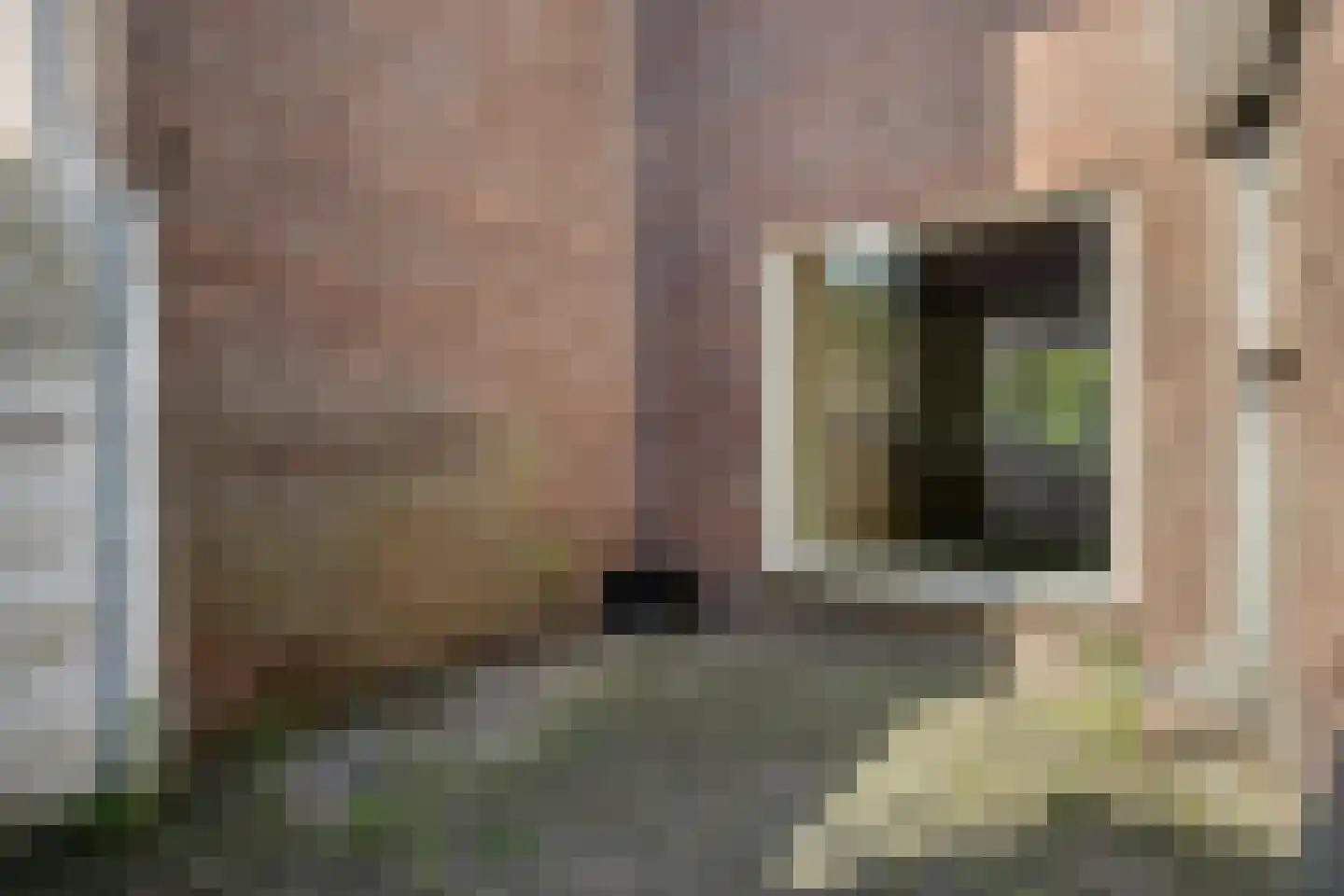 Wilhelminakanaalstraat 1 Best thumbnail 22