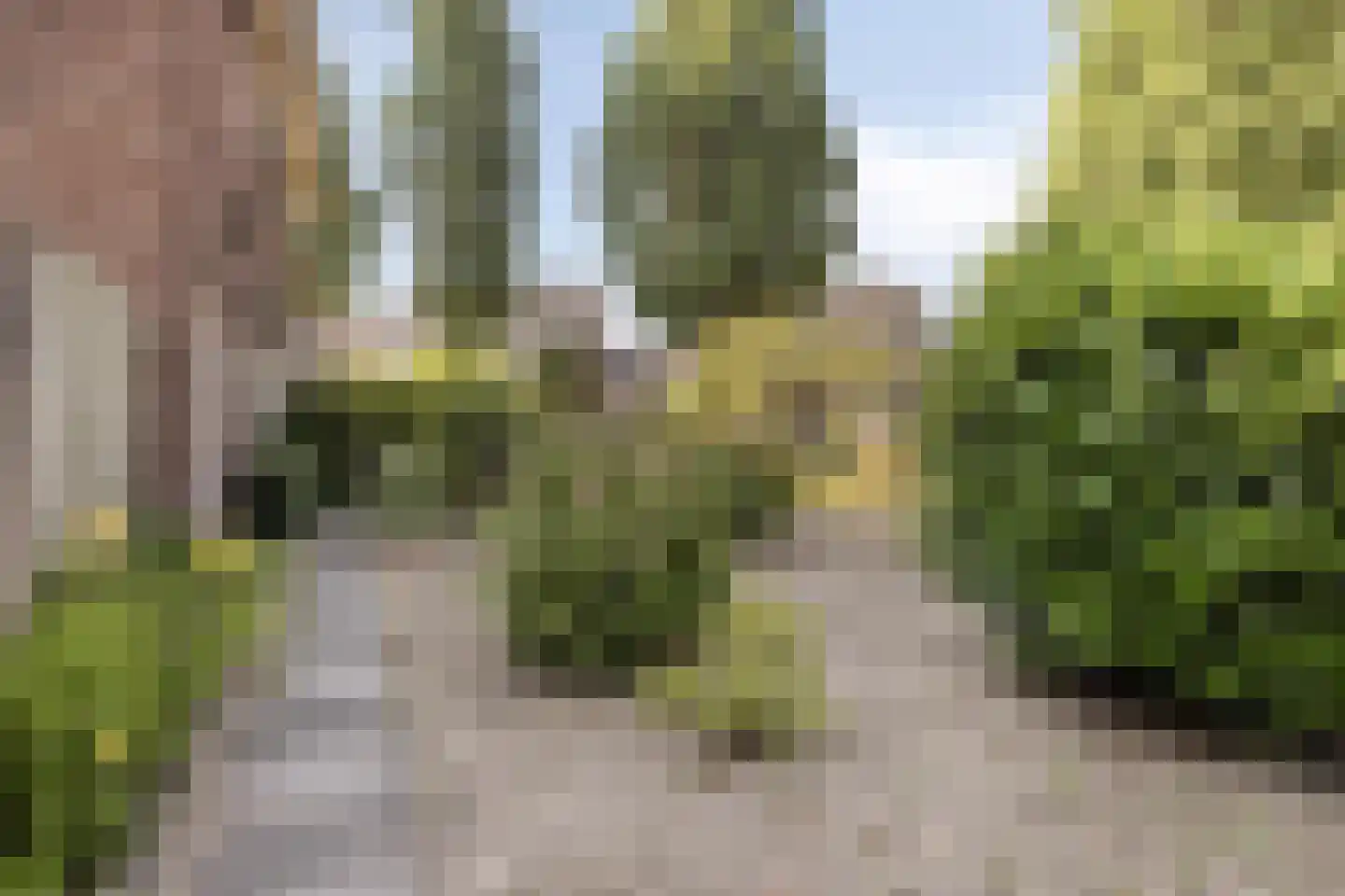 Wilhelminakanaalstraat 1 Best thumbnail 23