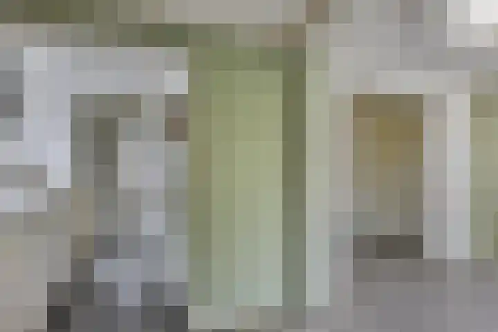 Wilhelminakanaalstraat 5 Best thumbnail 10