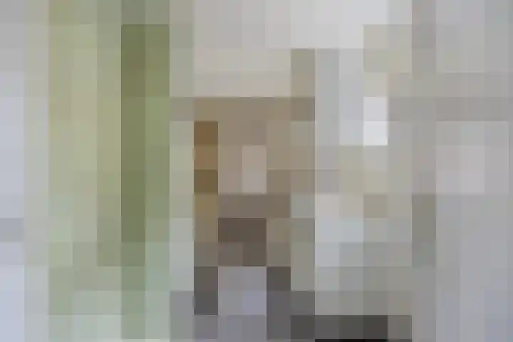 Wilhelminakanaalstraat 5 Best thumbnail 11