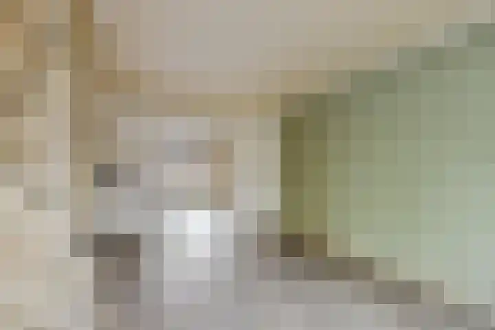 Wilhelminakanaalstraat 5 Best thumbnail 13