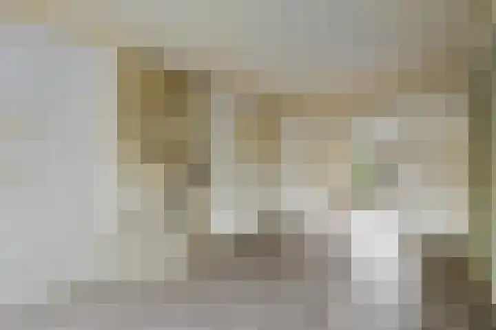 Wilhelminakanaalstraat 5 Best thumbnail 17