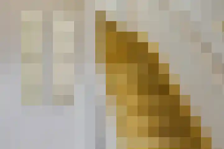Wilhelminakanaalstraat 5 Best thumbnail 19