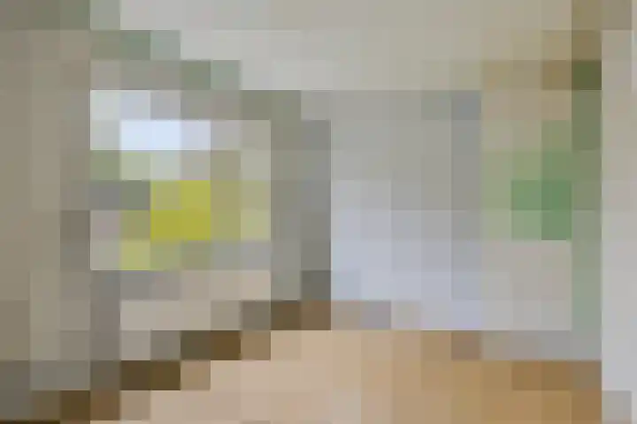 Wilhelminakanaalstraat 5 Best thumbnail 21