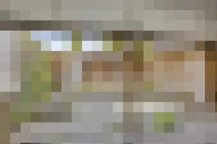 Wilhelminakanaalstraat 5 Best thumbnail 29