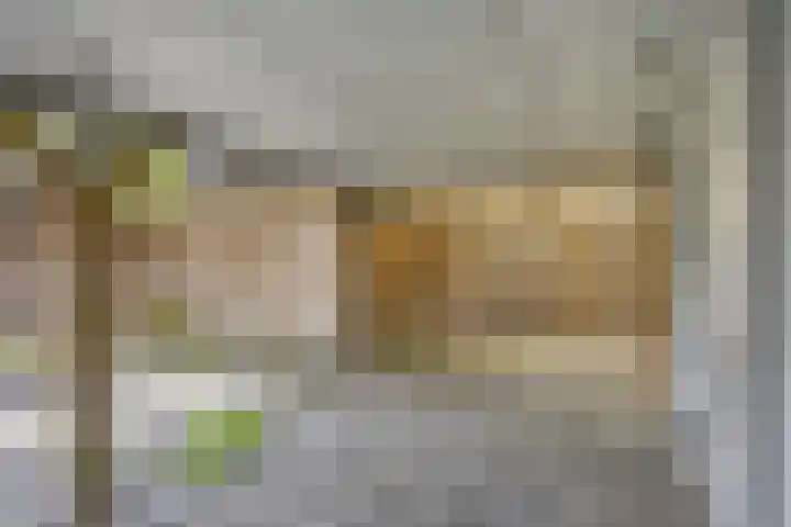 Wilhelminakanaalstraat 5 Best thumbnail 30