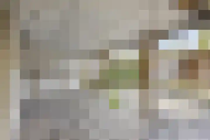 Wilhelminakanaalstraat 5 Best thumbnail 32