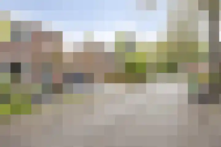 Wilhelminakanaalstraat 5 Best thumbnail 34