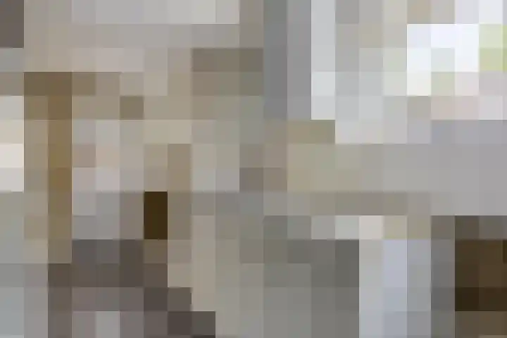 Wilhelminakanaalstraat 5 Best thumbnail 8