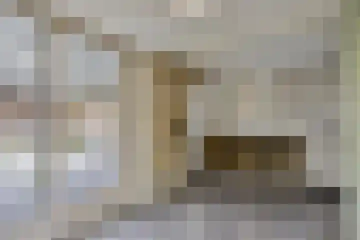 Wilhelminakanaalstraat 5 Best thumbnail 9