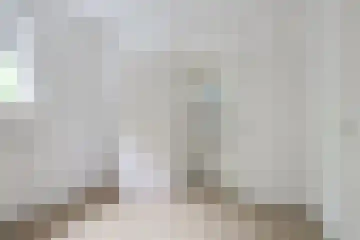 Wilhelminalaan 1 Hengelo (Gld) thumbnail 34