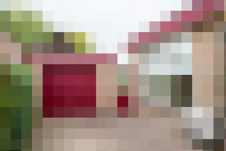 Wilhelminalaan 1 Hengelo (Gld) thumbnail 38