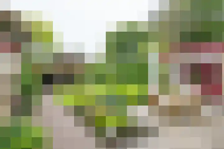 Wilhelminalaan 1 Hengelo (Gld) thumbnail 39