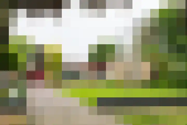 Wilhelminalaan 1 Hengelo (Gld) thumbnail 4