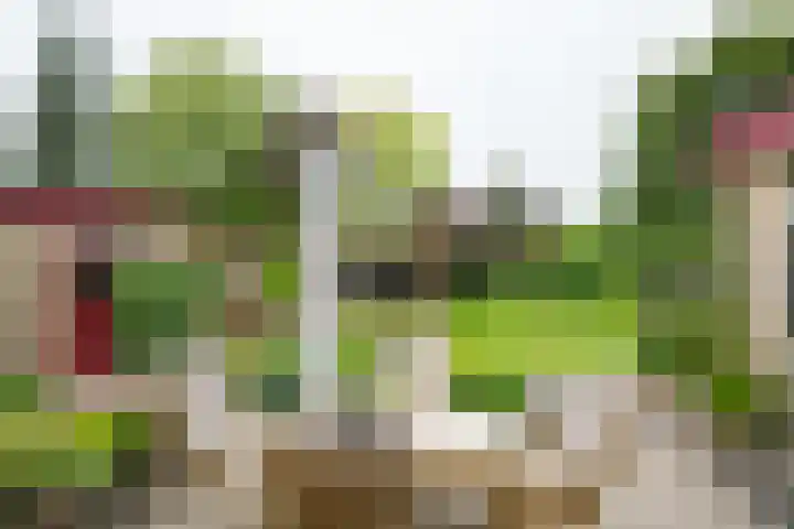 Wilhelminalaan 1 Hengelo (Gld) thumbnail 40