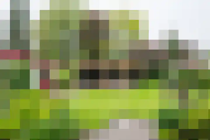Wilhelminalaan 1 Hengelo (Gld) thumbnail 41