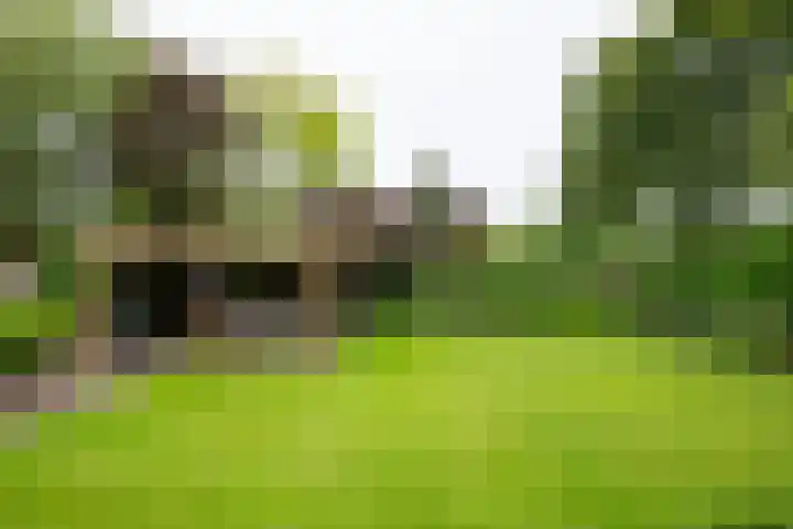 Wilhelminalaan 1 Hengelo (Gld) thumbnail 43