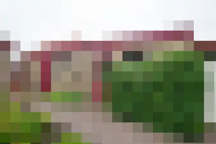 Wilhelminalaan 1 Hengelo (Gld) thumbnail 44