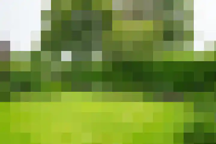 Wilhelminalaan 1 Hengelo (Gld) thumbnail 45