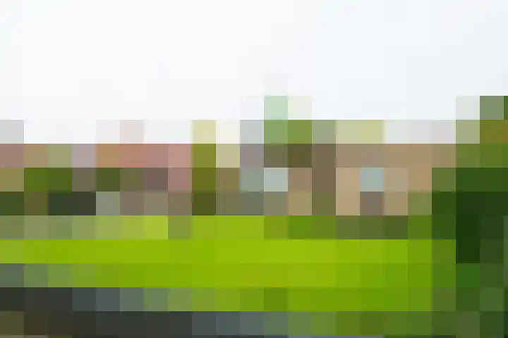 Wilhelminalaan 1 Hengelo (Gld) thumbnail 5