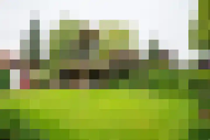 Wilhelminalaan 1 Hengelo (Gld) thumbnail 50