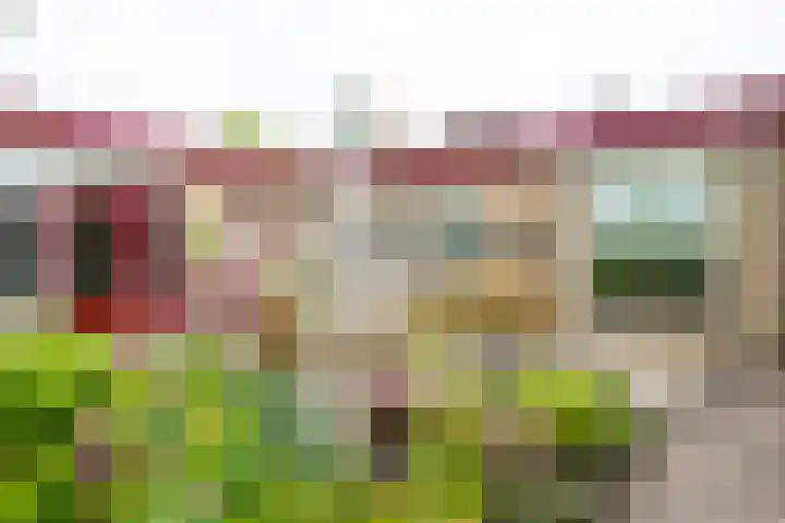 Wilhelminalaan 1 Hengelo (Gld) thumbnail 53
