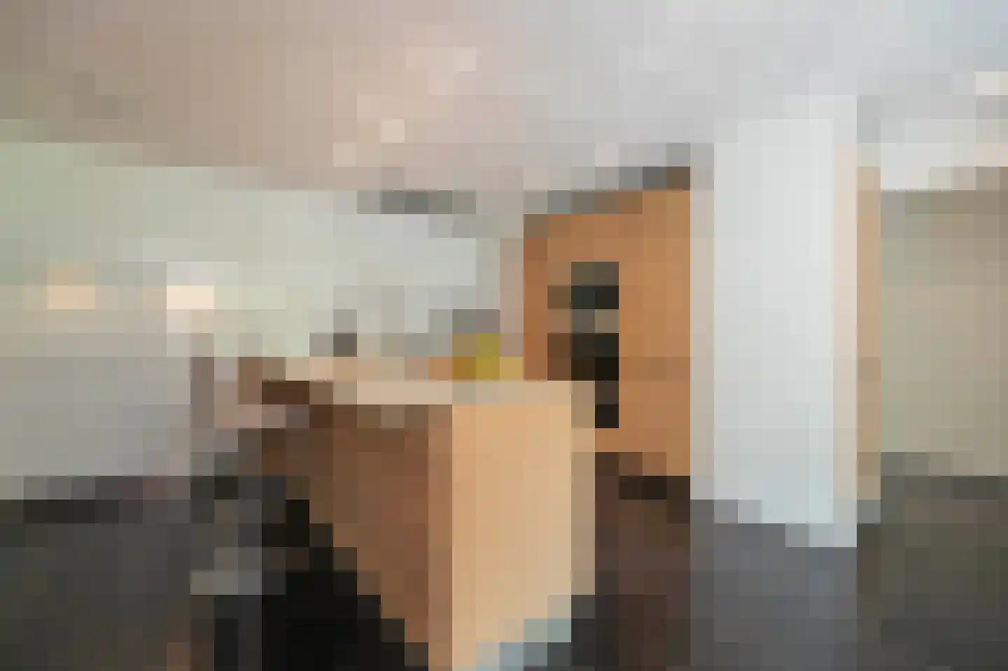 Wilhelminalaan 1 Oisterwijk thumbnail 10