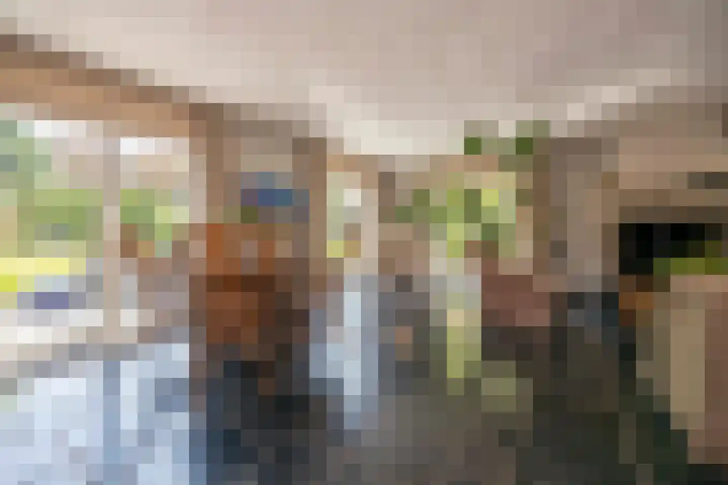Wilhelminalaan 1 Oisterwijk thumbnail 13