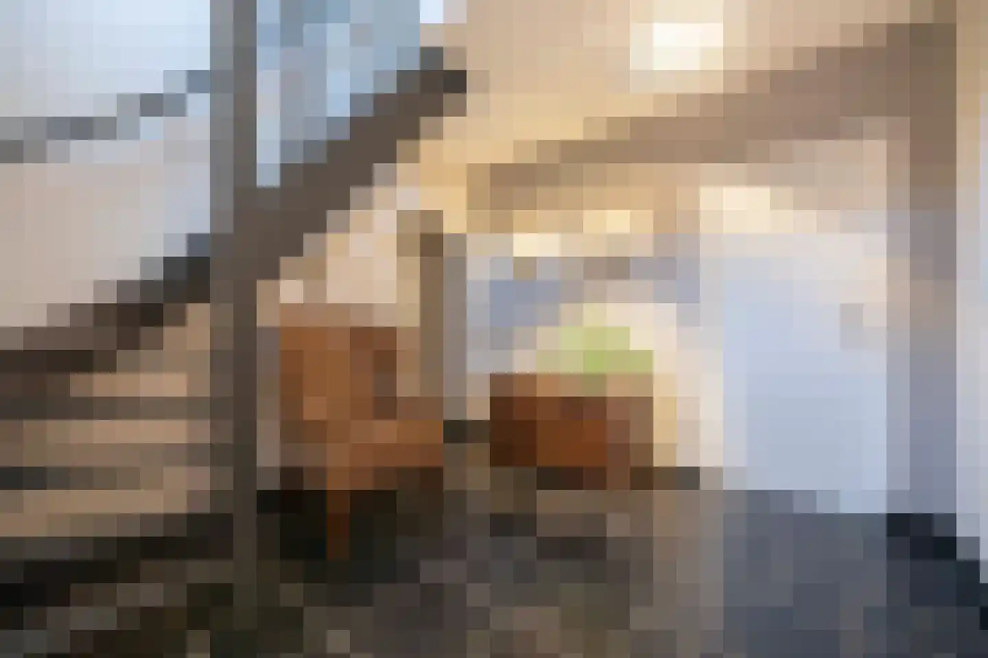 Wilhelminalaan 1 Oisterwijk thumbnail 20