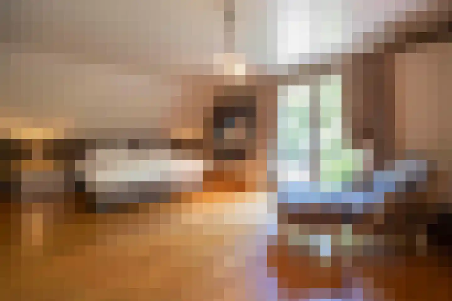 Wilhelminalaan 1 Oisterwijk thumbnail 21