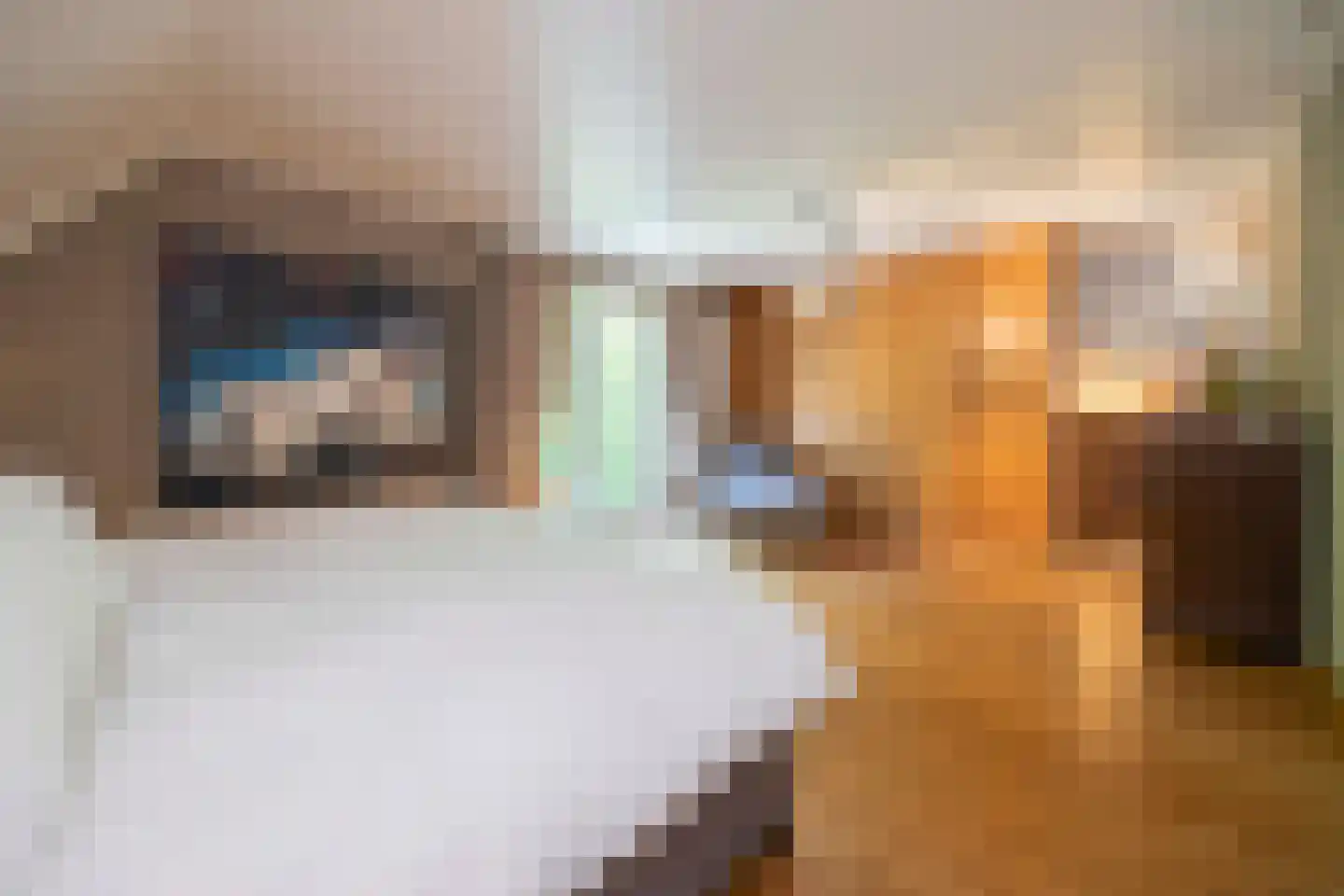 Wilhelminalaan 1 Oisterwijk thumbnail 22