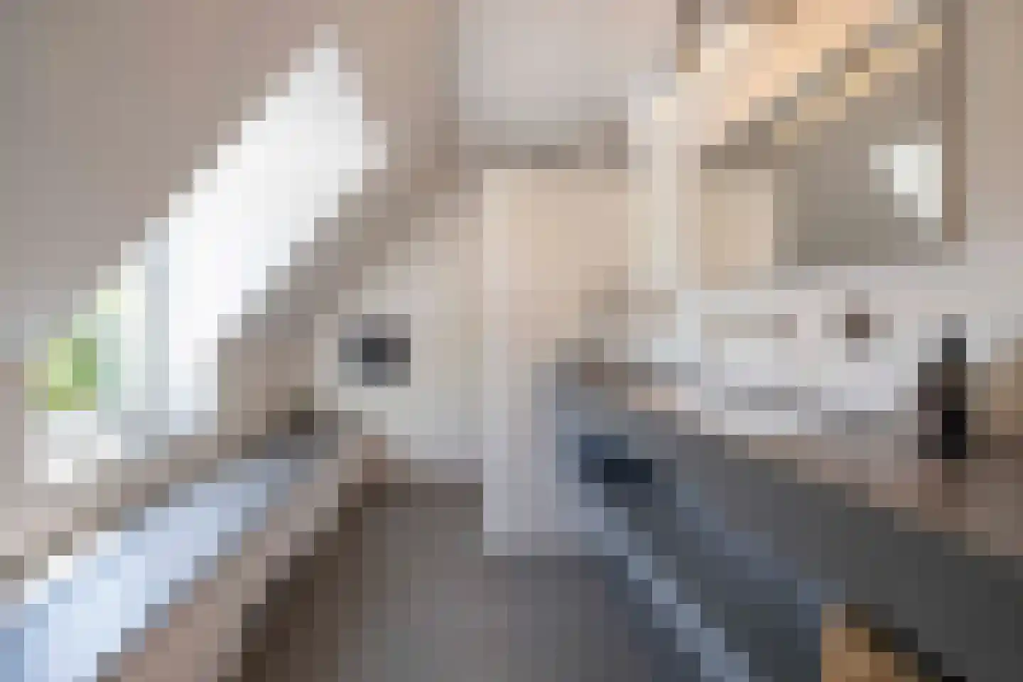 Wilhelminalaan 1 Oisterwijk thumbnail 23