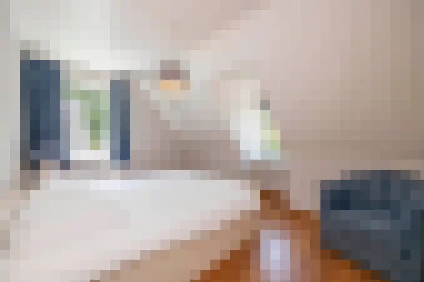 Wilhelminalaan 1 Oisterwijk thumbnail 25