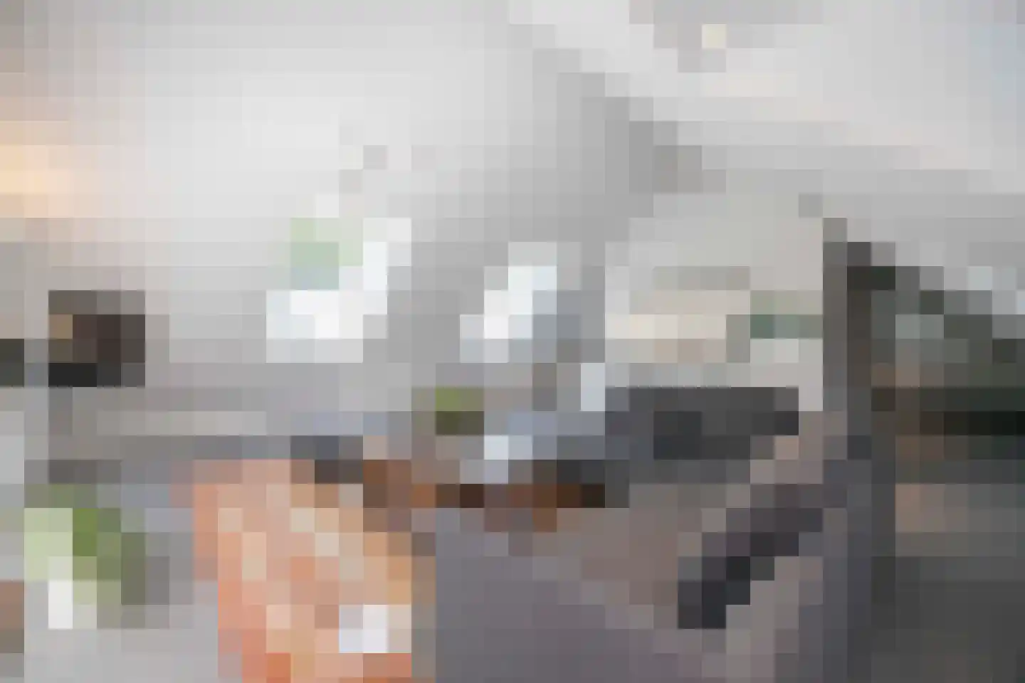 Wilhelminalaan 1 Oisterwijk thumbnail 29