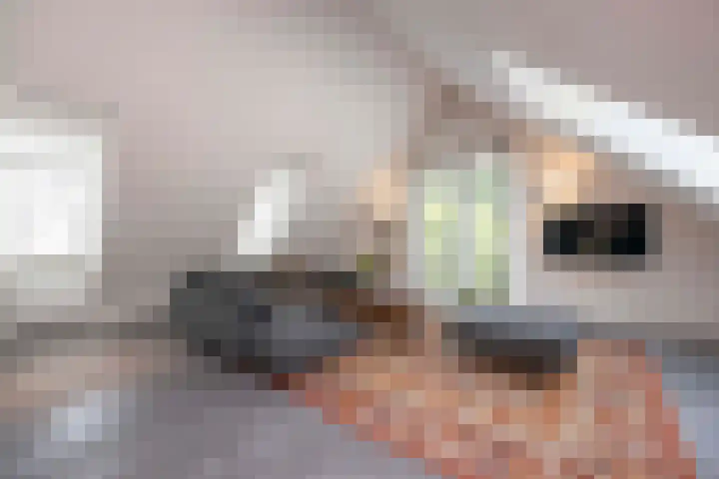 Wilhelminalaan 1 Oisterwijk thumbnail 32
