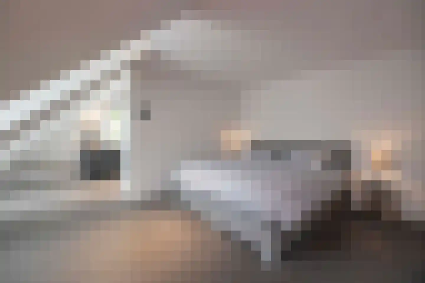 Wilhelminalaan 1 Oisterwijk thumbnail 35