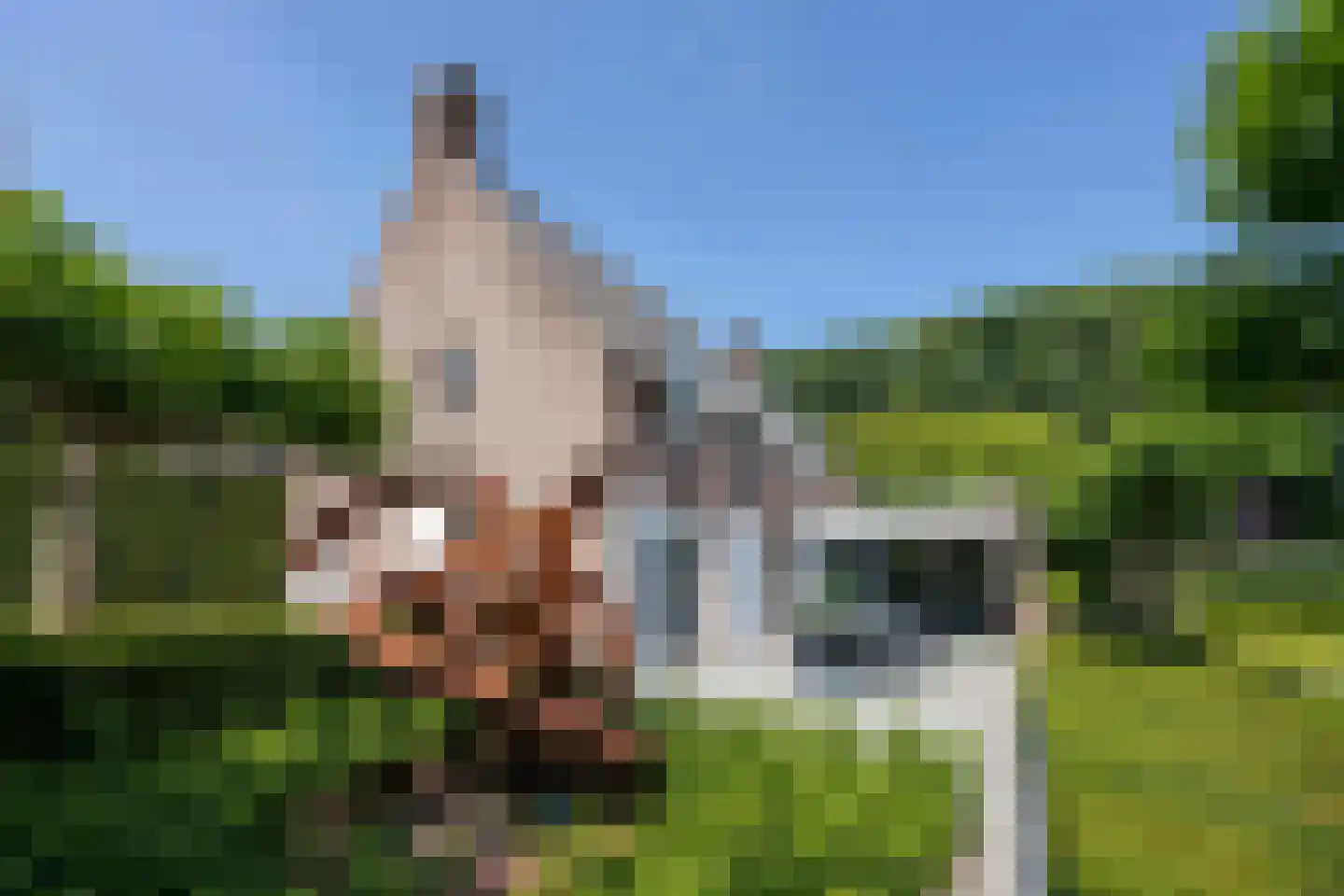 Wilhelminalaan 1 Oisterwijk thumbnail 40