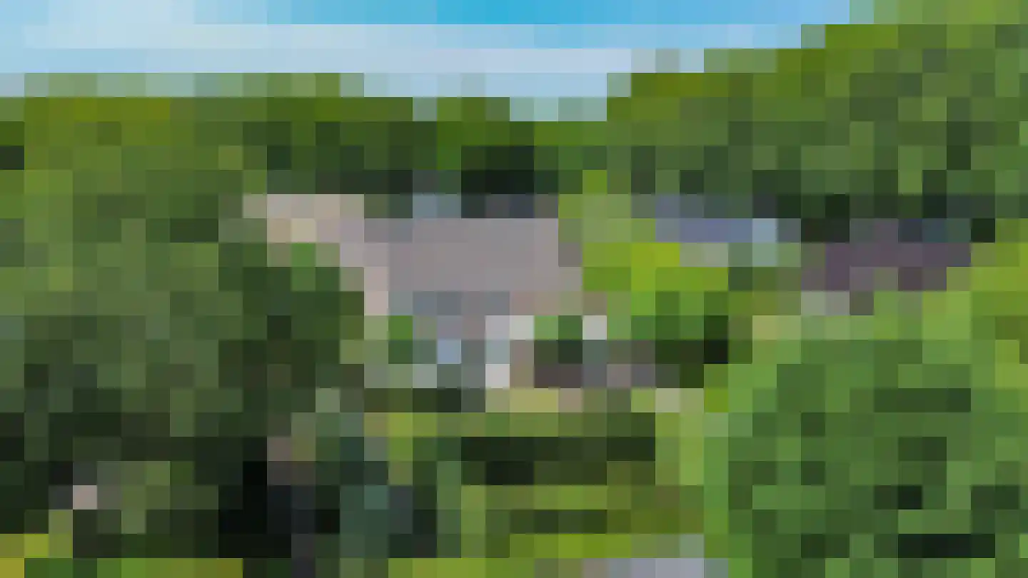 Wilhelminalaan 1 Oisterwijk thumbnail 44