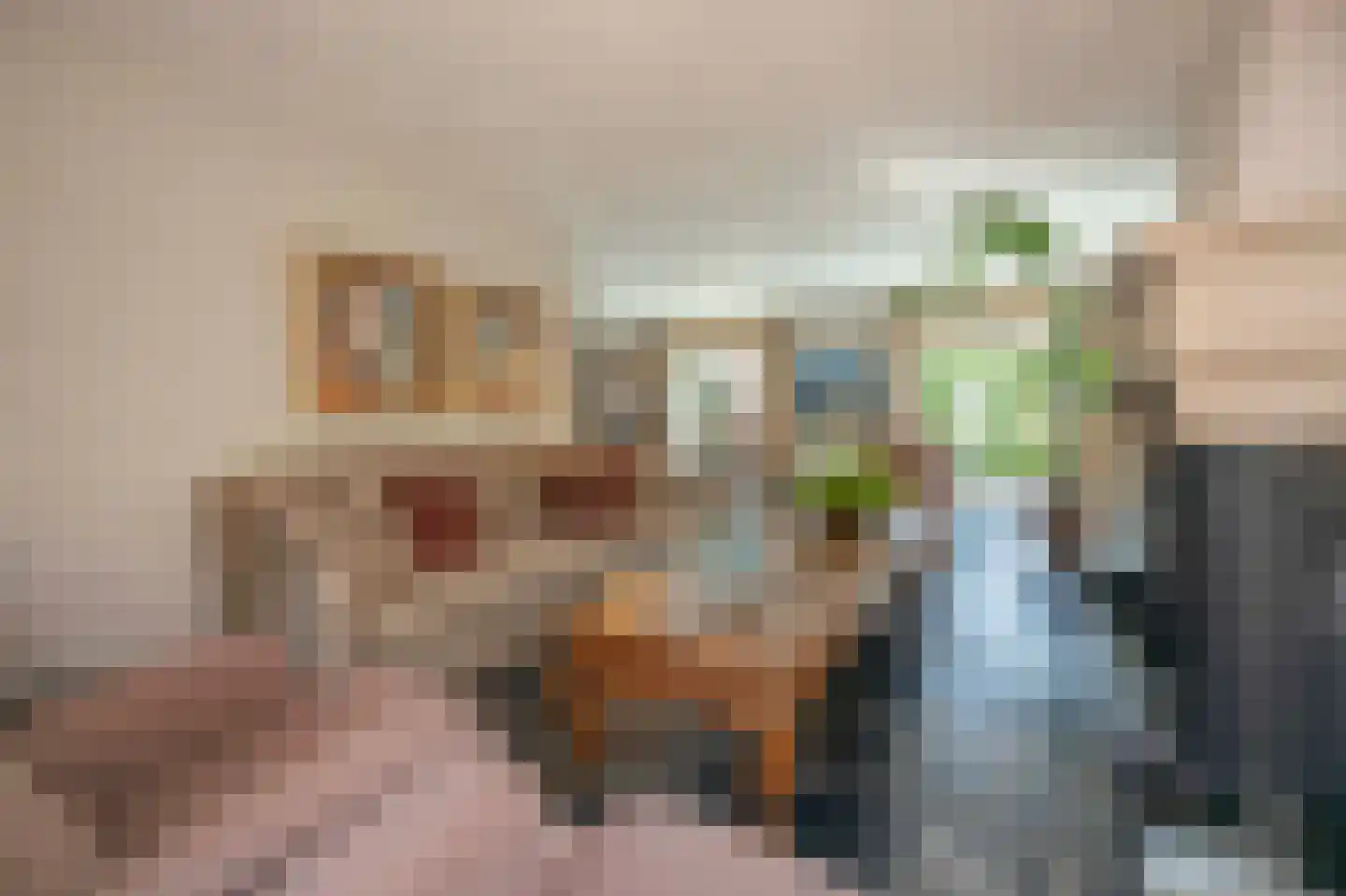 Wilhelminalaan 1 Oisterwijk thumbnail 8