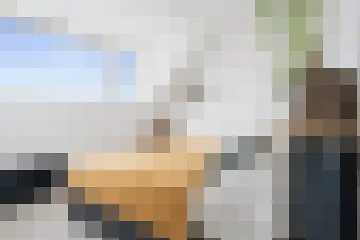 Wilhelminalaan 10 A Etten-Leur thumbnail 18