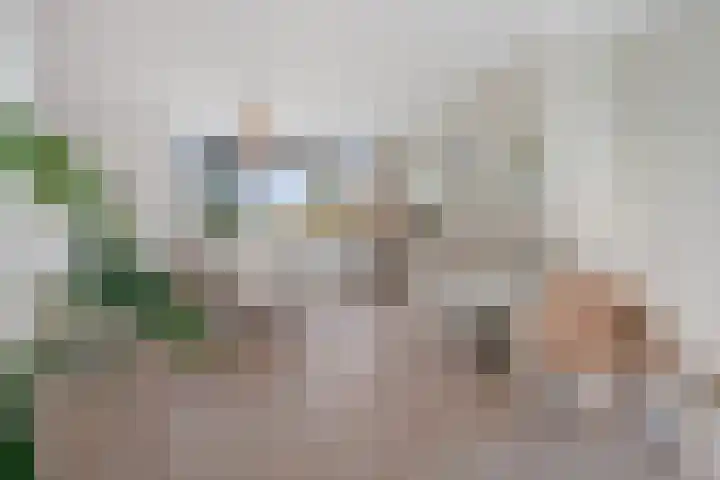 Wilhelminalaan 10 A Etten-Leur thumbnail 8