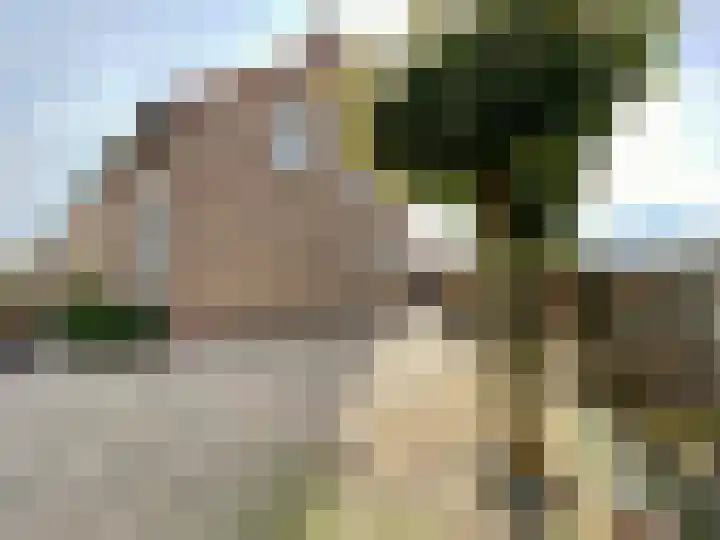 Wilhelminalaan 10 Echt thumbnail 22